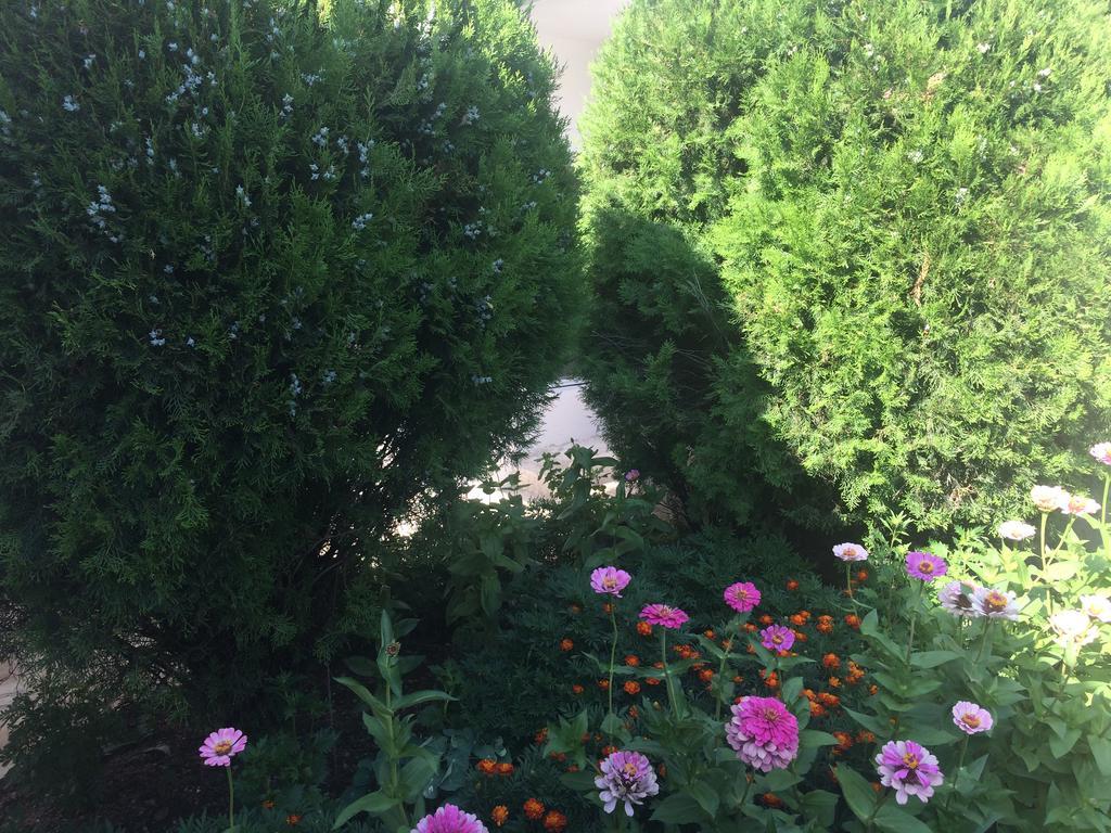 Apartment Old Town Podgorica Luaran gambar